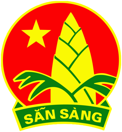 Đội TNTP